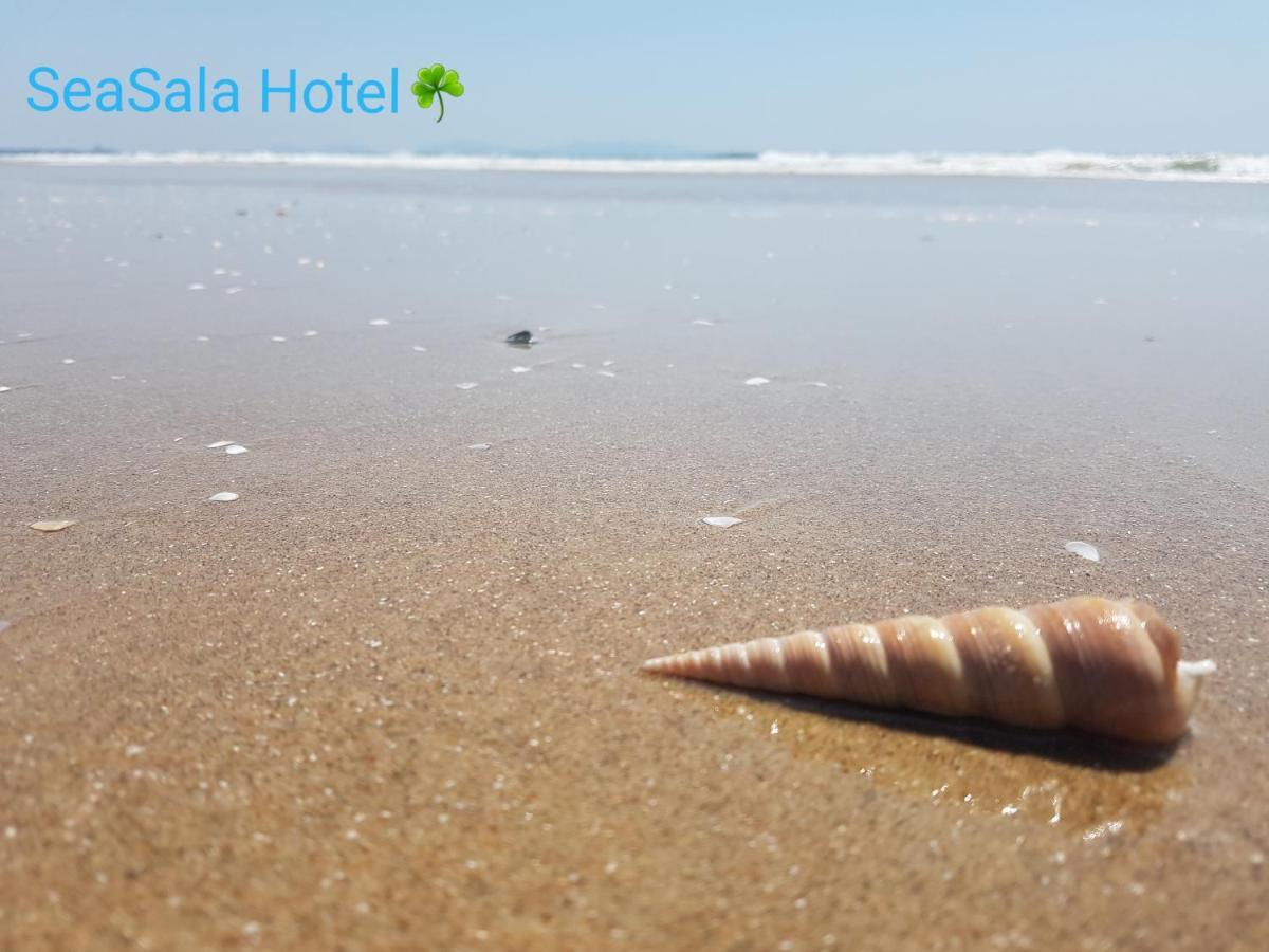 Seasala Hotel Vung Tau Extérieur photo